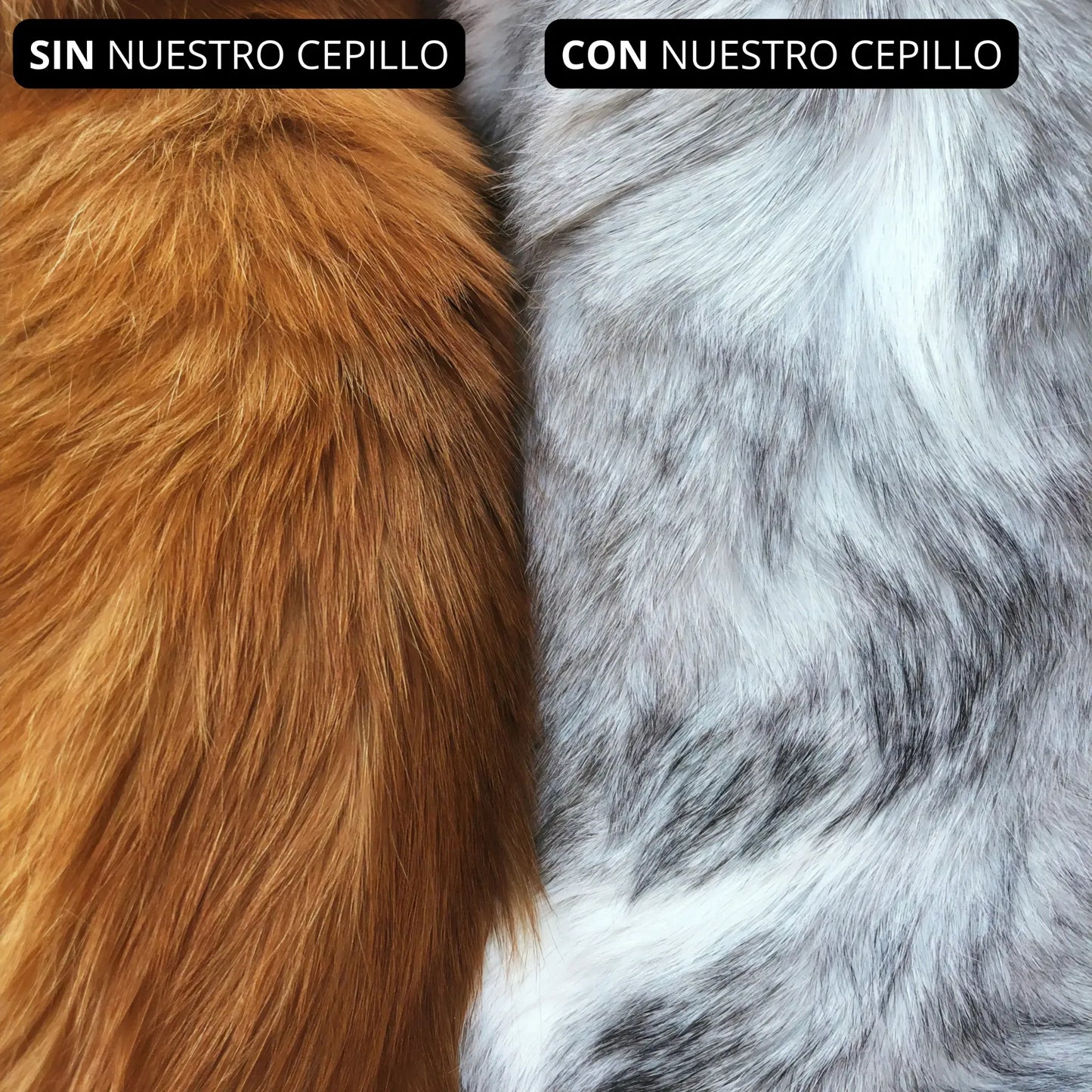 Cepillo de Vapor (celeste)