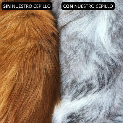 Cepillo de Vapor (celeste)