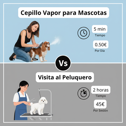 Cepillo de Vapor (celeste)